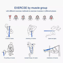 Resistance Bands – Elastic Exercise & Pull-Up Assist for Home, Gym & Yoga