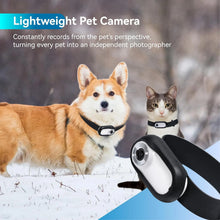 Pet Collar Camera HD – Lightweight Action Cam with Screen & Video Recording for Cats